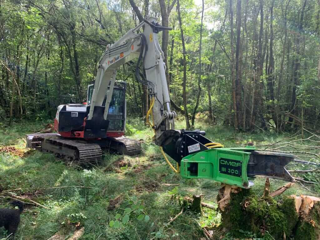 Commercial Tree Removal in Sydney