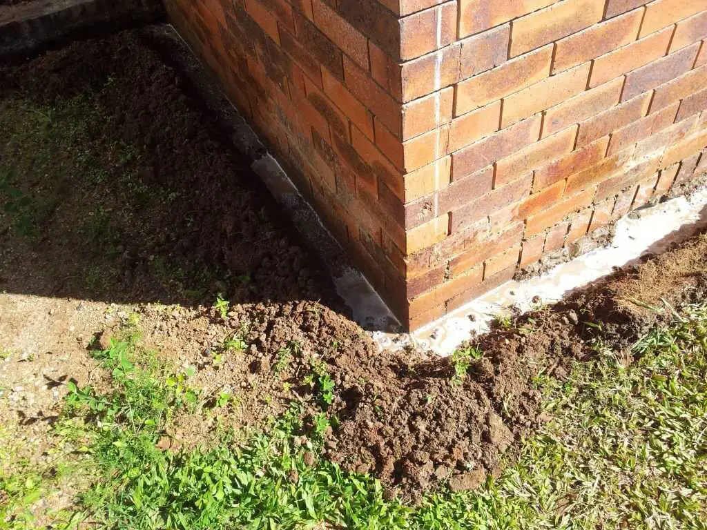 Your Complete Guide to Termite Protection in Sydney