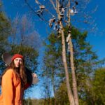 Tree Removal Hills District for Safer, Cleaner Yards