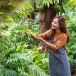 Tree Pruning Services Near Me: What’s Included and How Much Does It Cost?