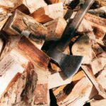 Top-Rated Tree Cutting Services Near Me: Safe, Professional, and Affordable Solutions Across Australia