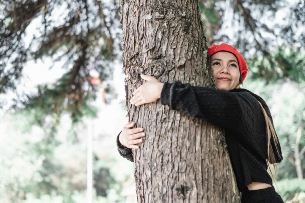 How Much Does Killara Tree Services Cost?