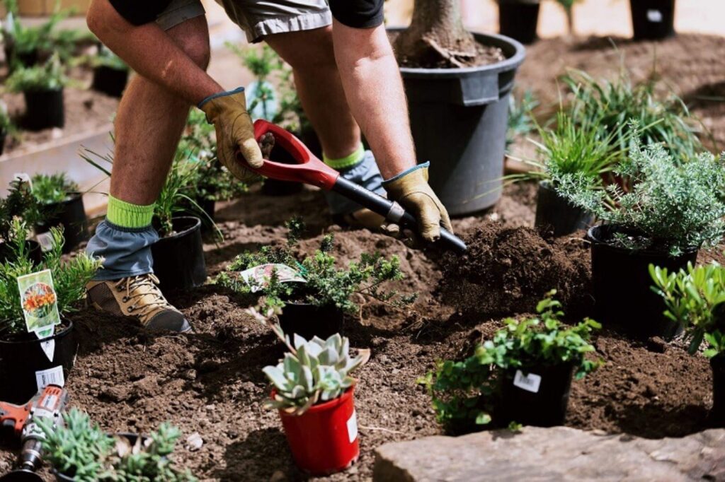 What Should You Know About Tree Care and Landscaping? Including Florist Northbridge
