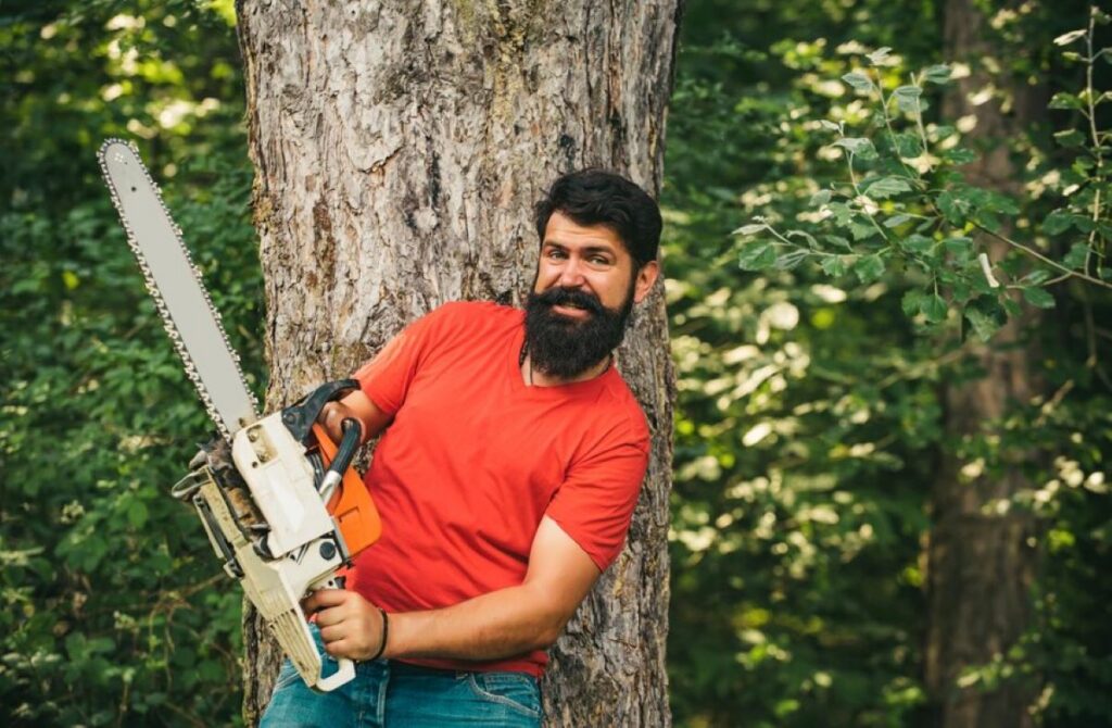 How Much Does Killara Tree Services Cost?