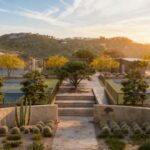 7 Signs Garden and Tree-Care Minded Homeowners Need Castle Hill Tree Removal