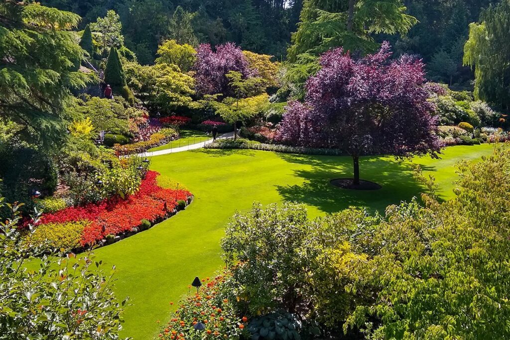 7 Signs Garden and Tree-Care Minded Homeowners Need Castle Hill Tree Removal