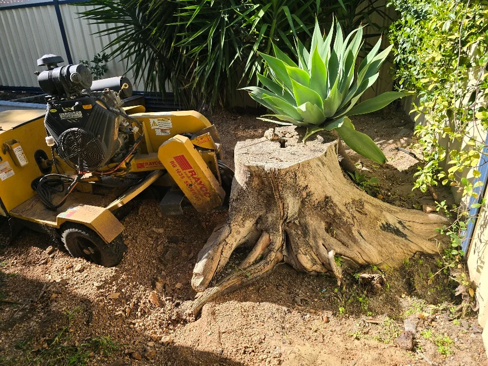 Stump Grinding Service
