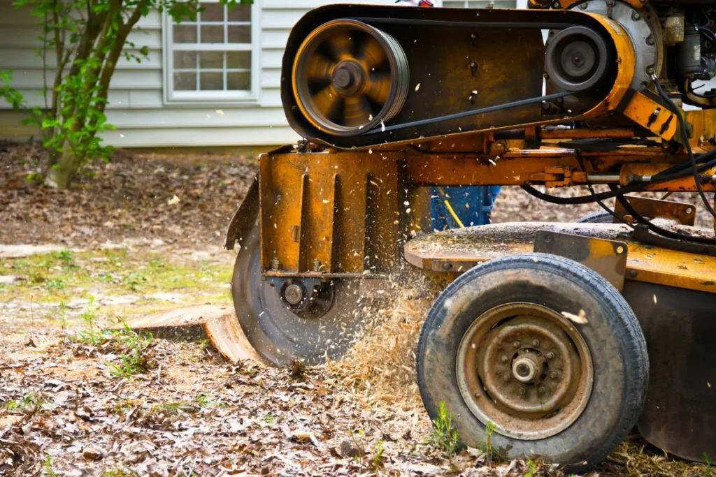 Stump Grinding Service