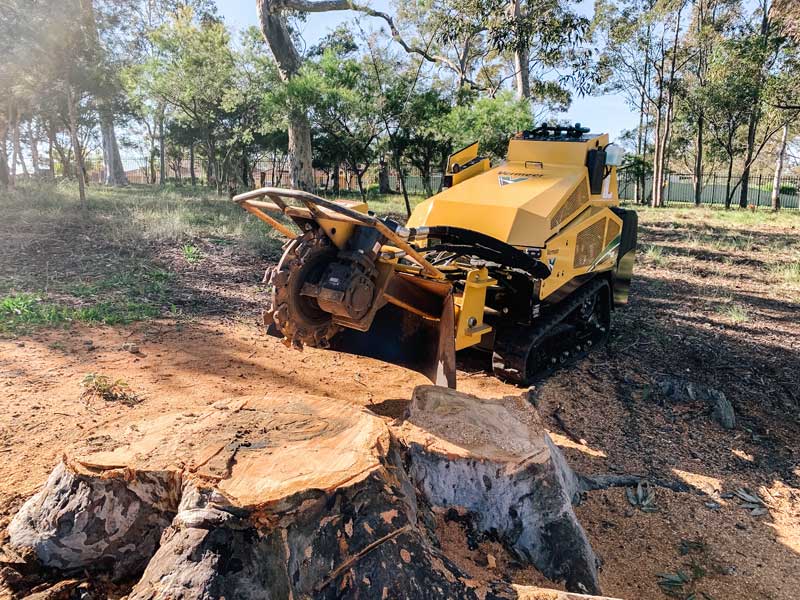 Stump Grinding Service